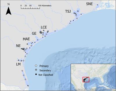 Long-Term Trends in Estuarine Carbonate Chemistry in the Northwestern Gulf of Mexico